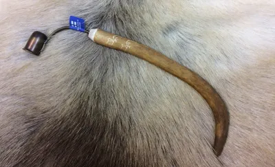 Candle Snuffer
