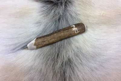 Pen
